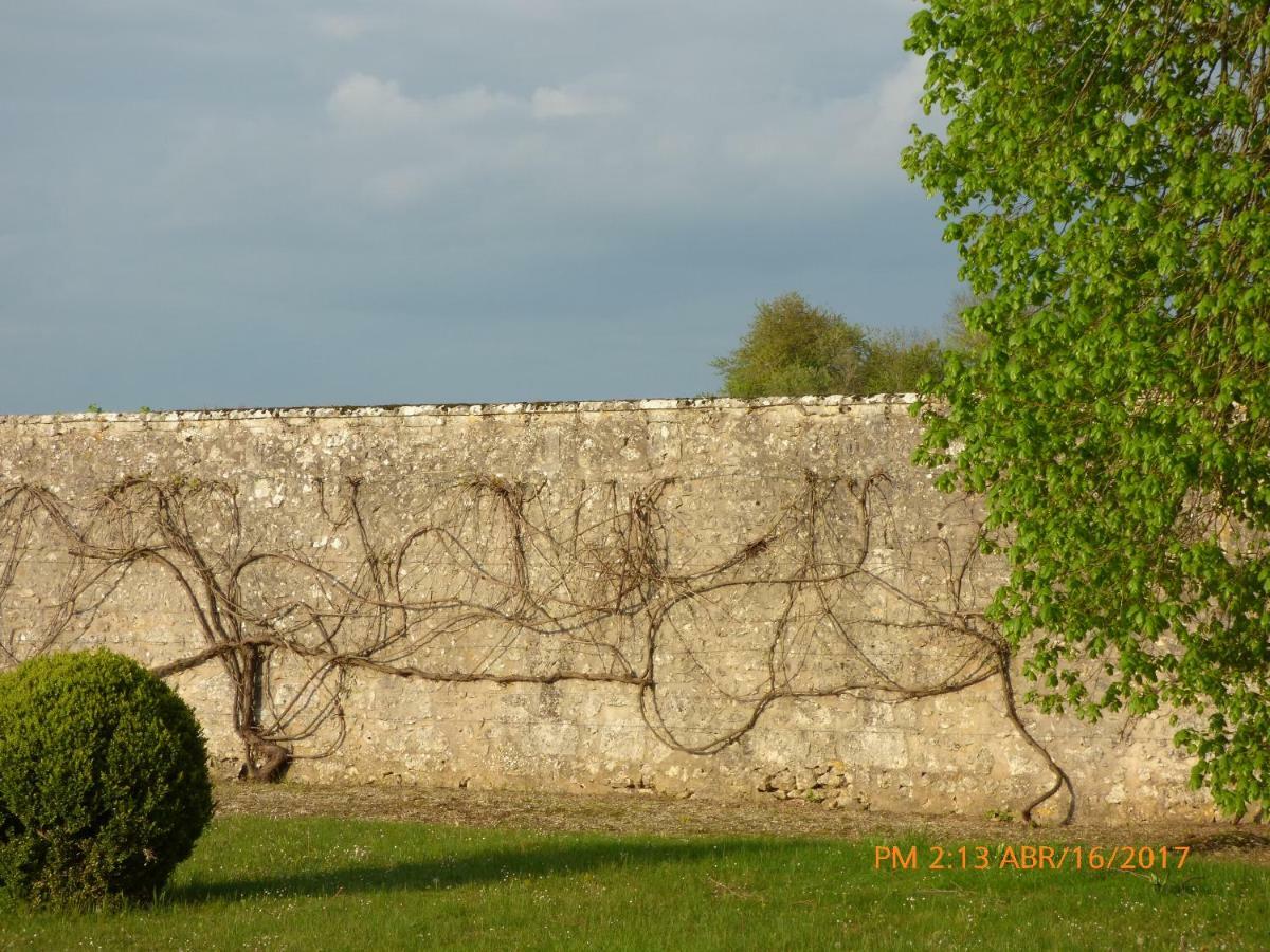 Chateau De Montrame Soisy-Bouy Luaran gambar