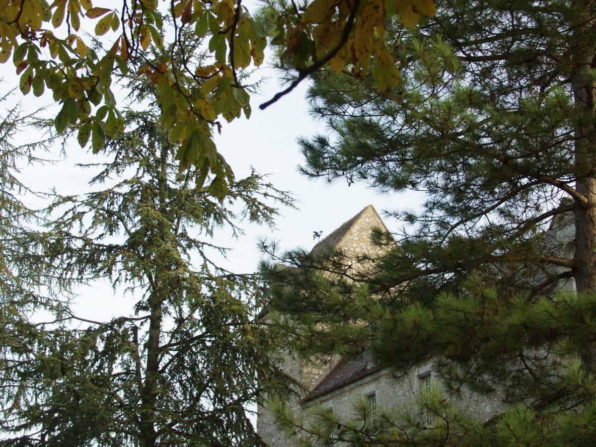 Chateau De Montrame Soisy-Bouy Luaran gambar