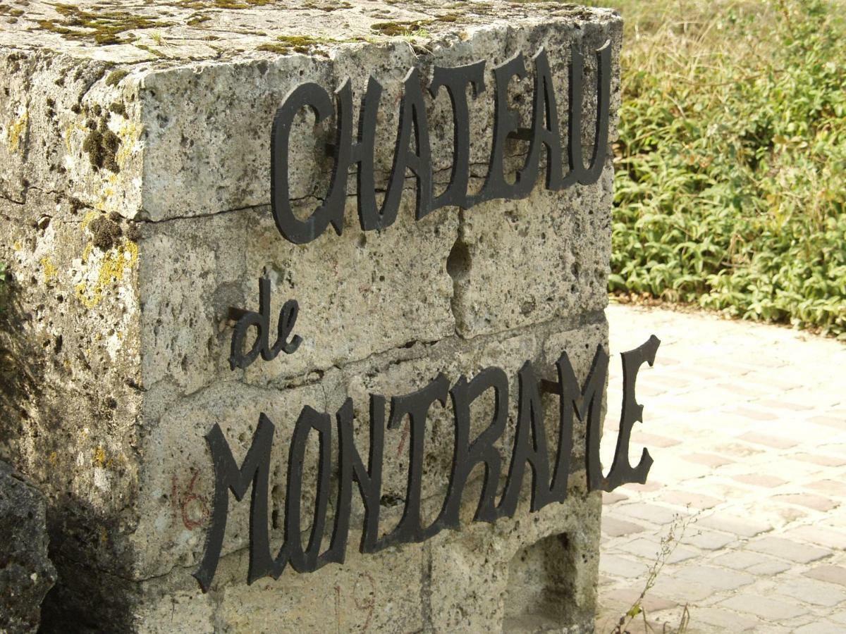 Chateau De Montrame Soisy-Bouy Luaran gambar